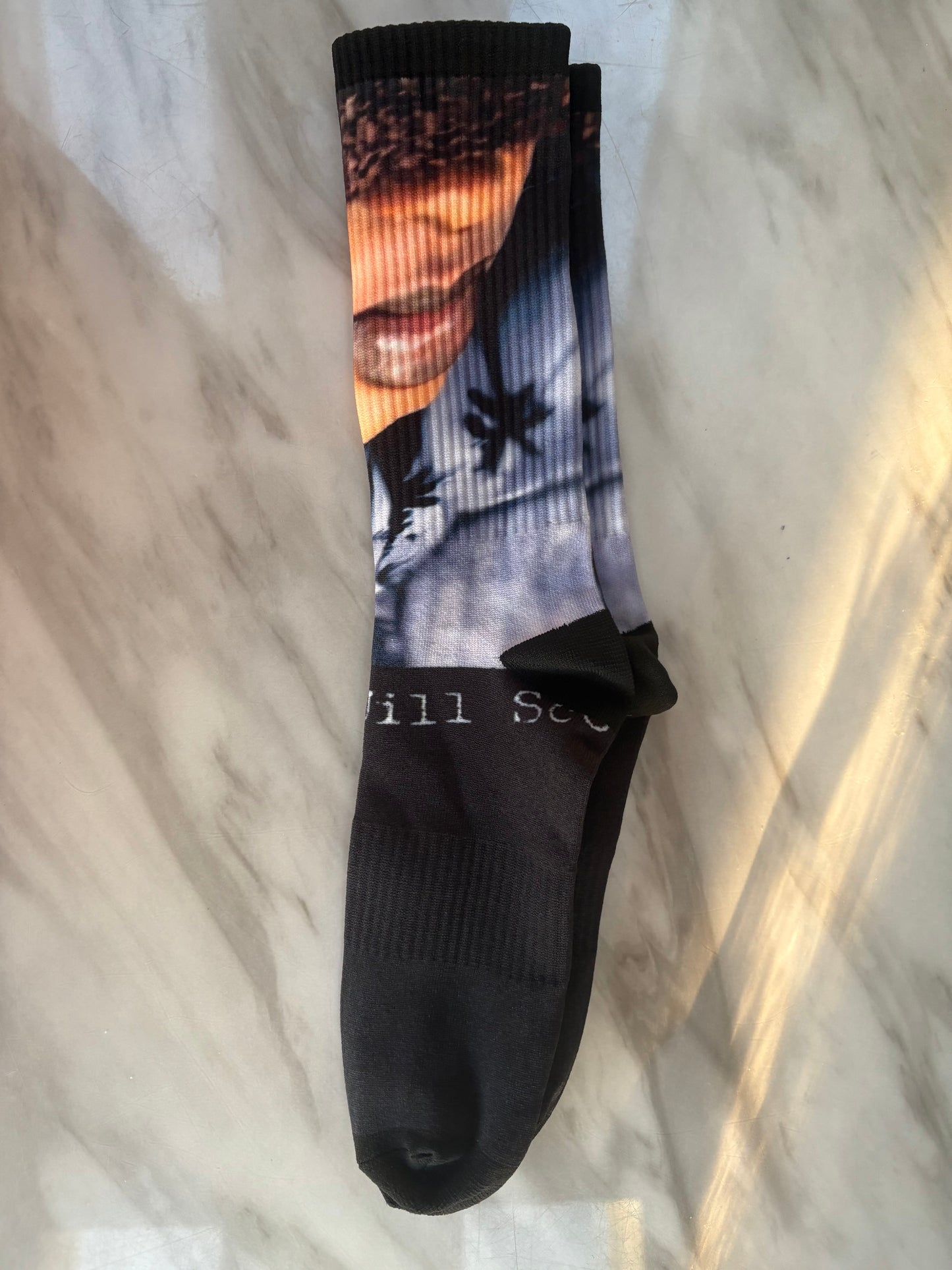 Long Walk in Philly socks