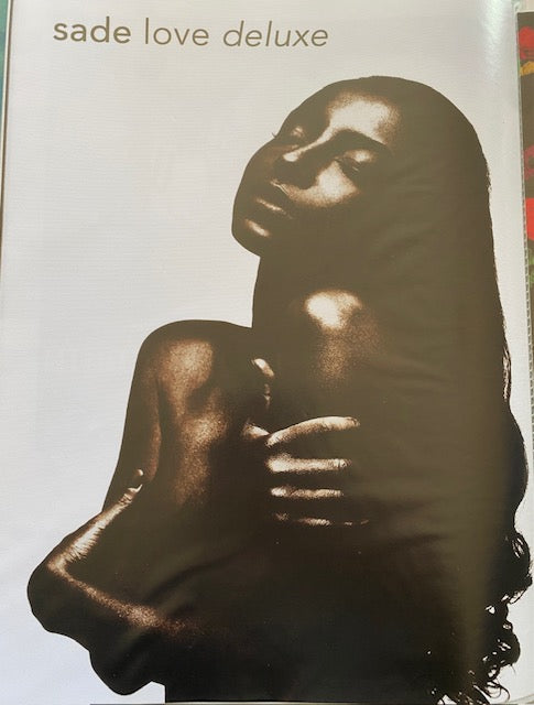 S. Adu Deluxe Love Album Art Canvas Print